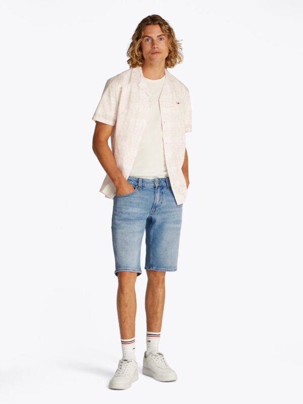 Denim light