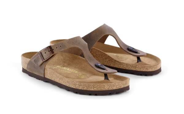 tabacco brown